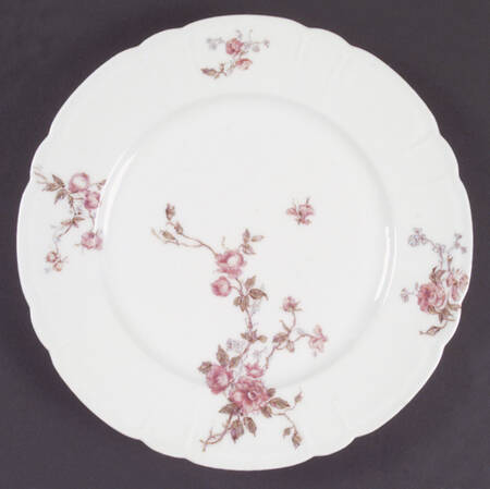 Schleiger 266h by Haviland