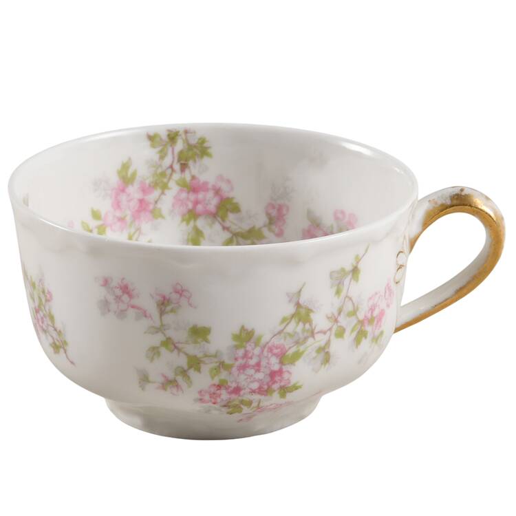 Schleiger 29 Flat Cup