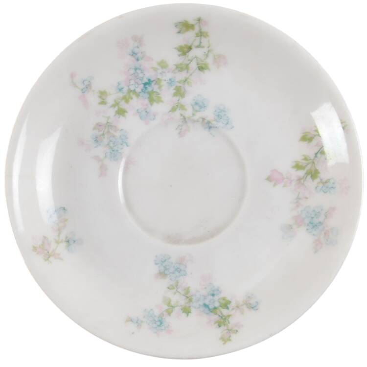 Schleiger 29i Saucer