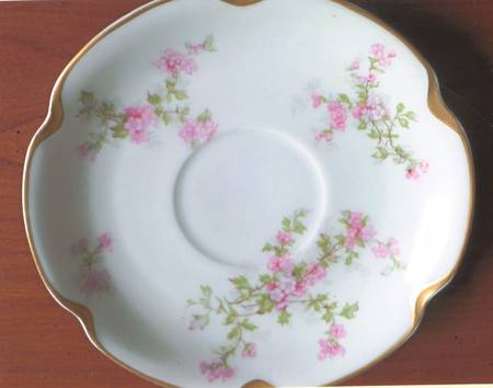 Schleiger 29J Saucer