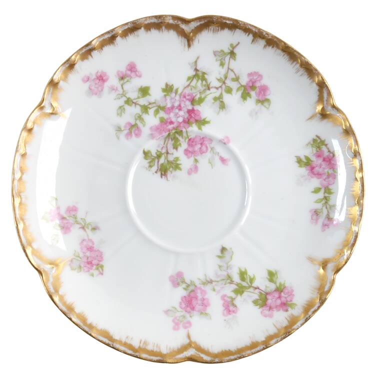Schleiger 29K Saucer