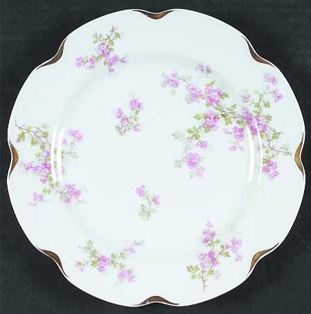 Schleiger 29o by Haviland