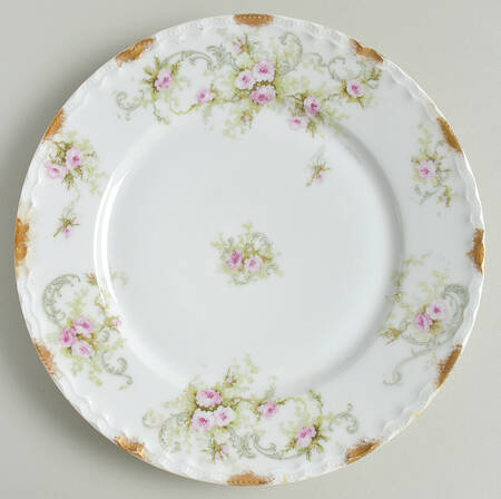 Schleiger 312d by Haviland