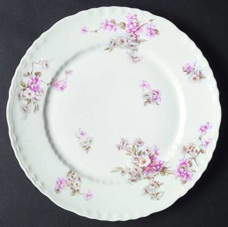 Schleiger 317c by Haviland