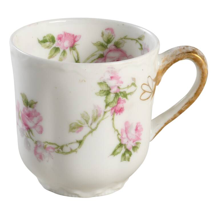 Schleiger 31A Turkish Cup