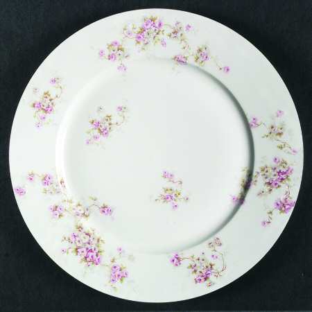 Schleiger 320 by Haviland