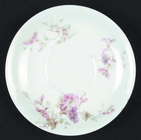 Schleiger 333 Saucer
