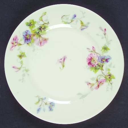 Schleiger 333 by Haviland