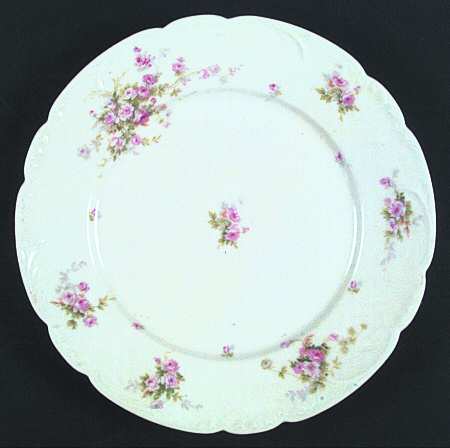 Schleiger 338C by Haviland