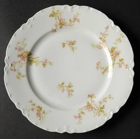 Schleiger 34 Salad Plate by Haviland