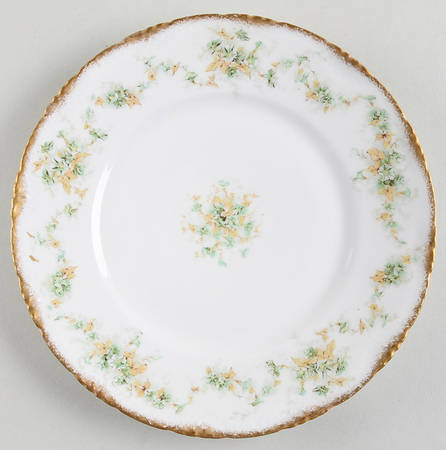 Schleiger 341 Salad Plate by Haviland