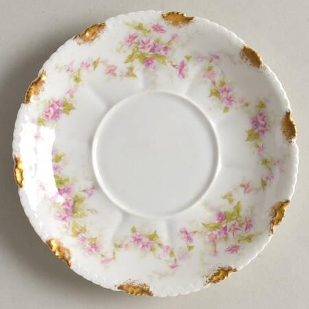 Schleiger 341D Saucer