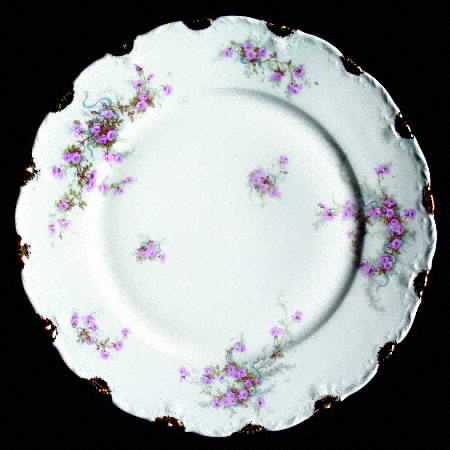 Schleiger 342G by Haviland