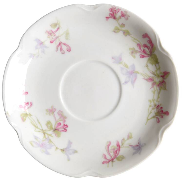 Schleiger 36A Saucer