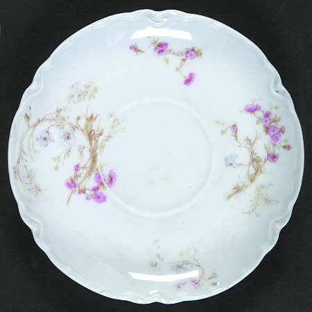 Schleiger 38 Saucer