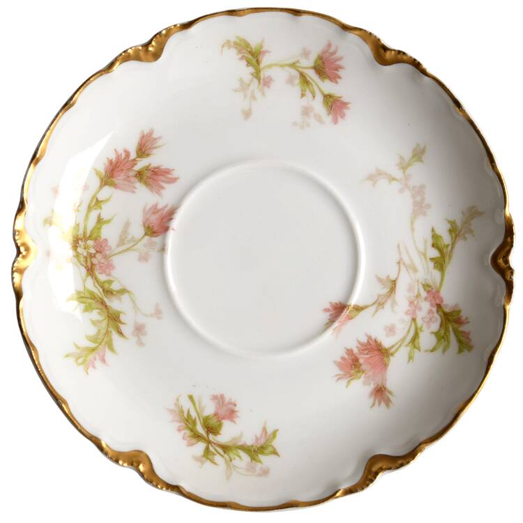 Schleiger 41C Saucer