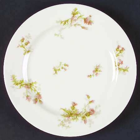 Schleiger 41d by Haviland