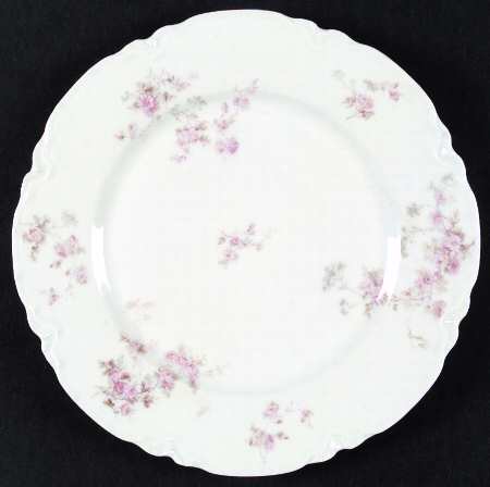 Schleiger 42A by Haviland