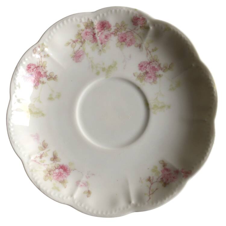 Schleiger 42E Saucer