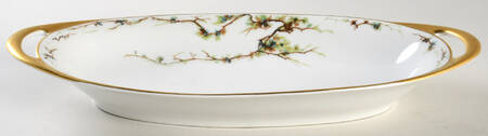 Schleiger 432 Celery by Haviland