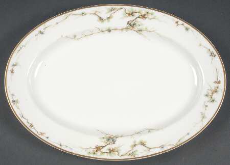 Schleiger 432 11" Oval Serving Platter by Haviland