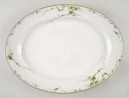 Schleiger 432 16" Oval Serving Platter by Haviland