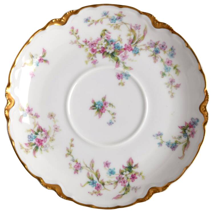 Schleiger 434 Saucer