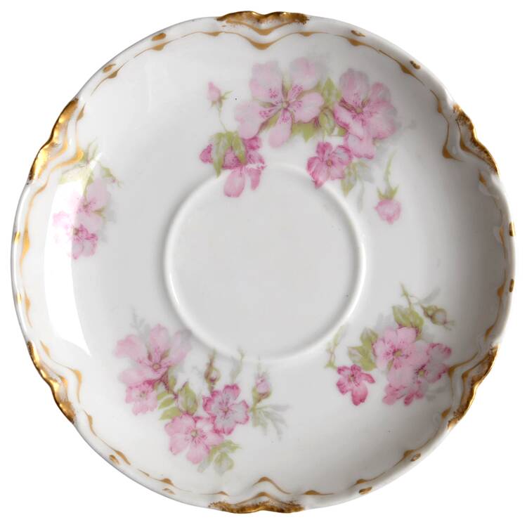 Schleiger 442A Saucer