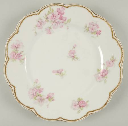 Schleiger 442B by Haviland