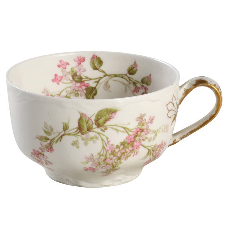 Schleiger 444a Flat Cup