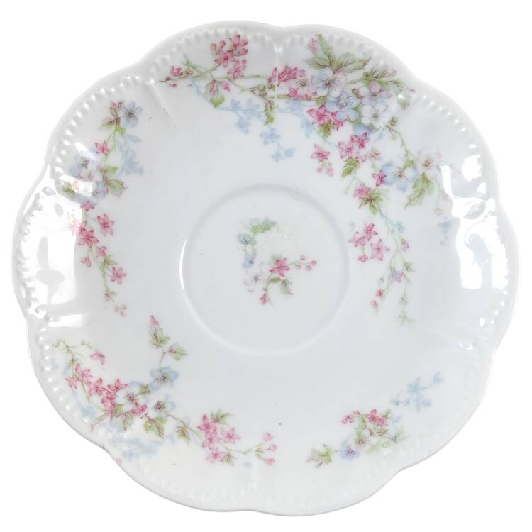 Schleiger 455D Saucer