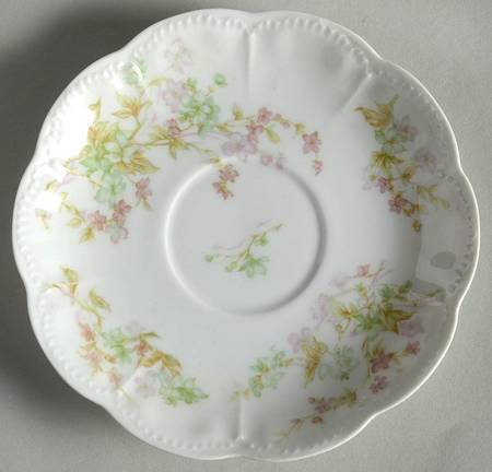 Schleiger 45A Saucer