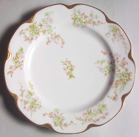 Schleiger 45b by Haviland
