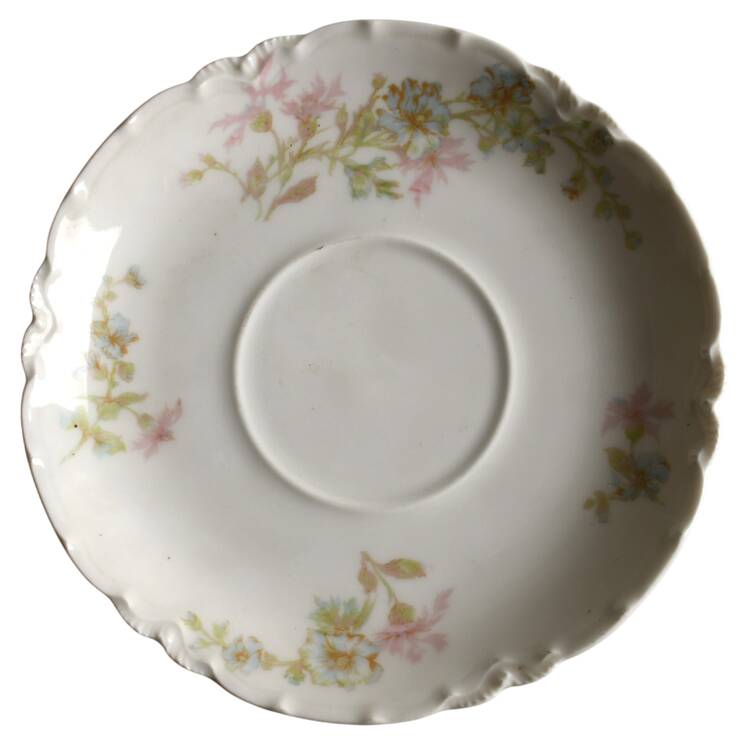 Schleiger 46 Saucer