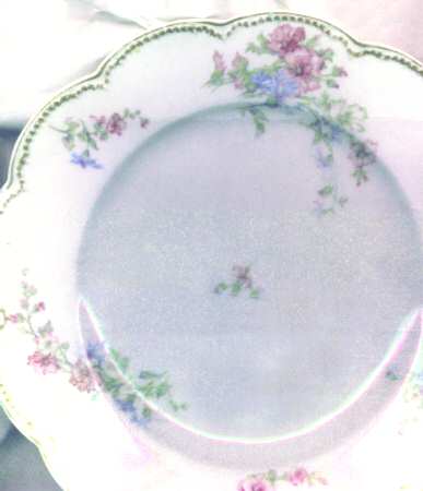 Schleiger 46d Dinner Plate