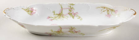 Schleiger 472c Celery