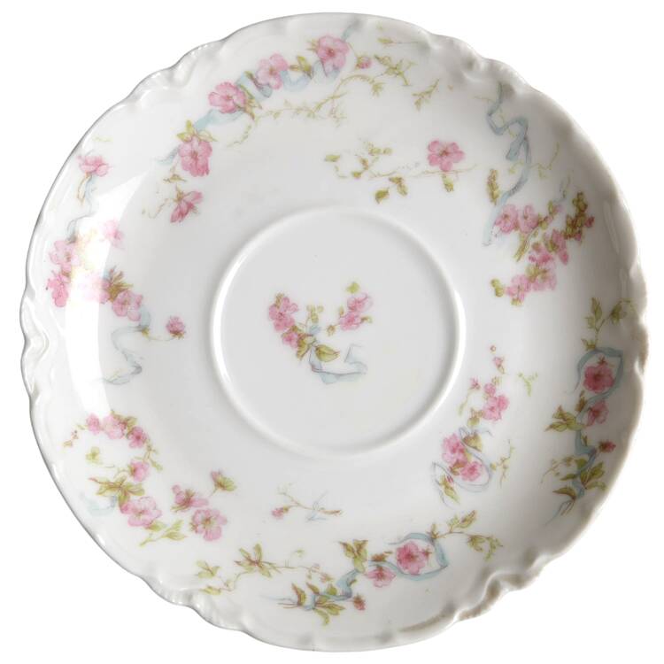 Schleiger 481 Saucer