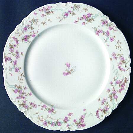Schleiger 481 by Haviland