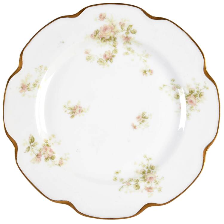 Schleiger 49 Luncheon Plate by Haviland