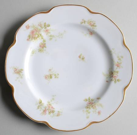 Schleiger 49 Salad Plate by Haviland