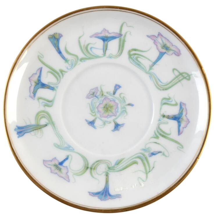 Schleiger 491 Saucer
