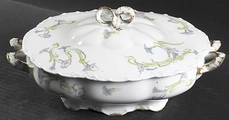 Schleiger 491b by Haviland