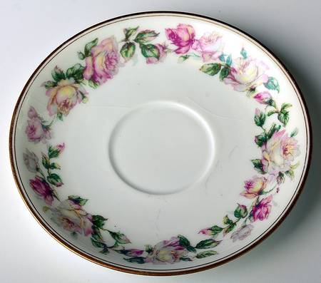 Schleiger 497 Saucer