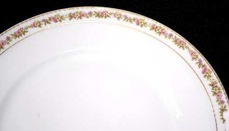 Schleiger 524J Dinner Plate