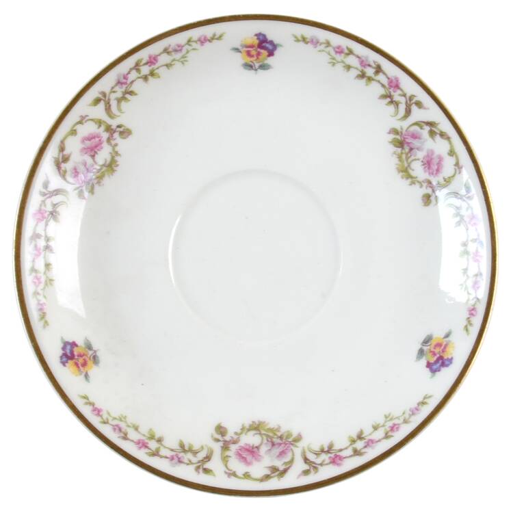 Schleiger 534 Saucer