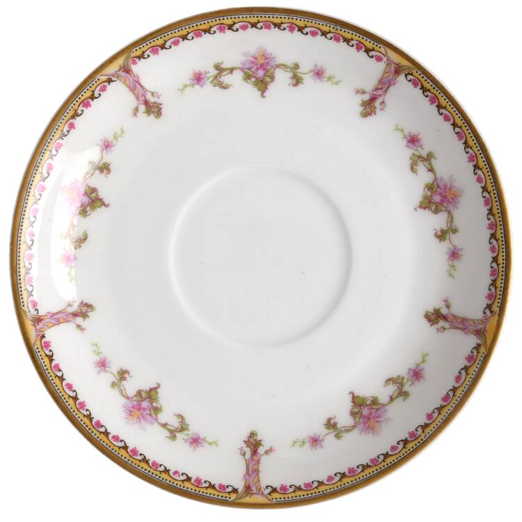 Schleiger 537 Saucer