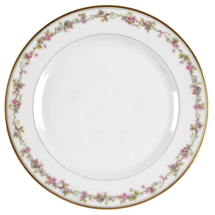 Schleiger 538 Luncheon Plate by Haviland