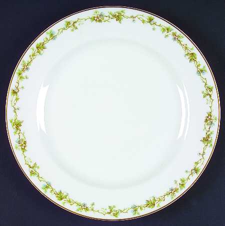 Schleiger 538b Luncheon Plate by Haviland