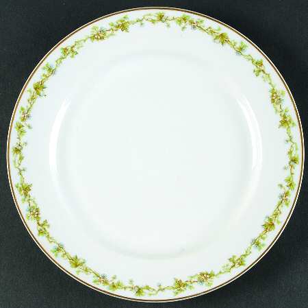 Schleiger 538b by Haviland