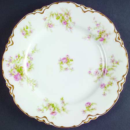Schleiger 53h by Haviland